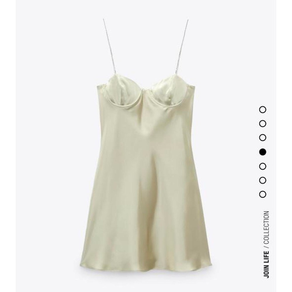 Zara NWT dress
